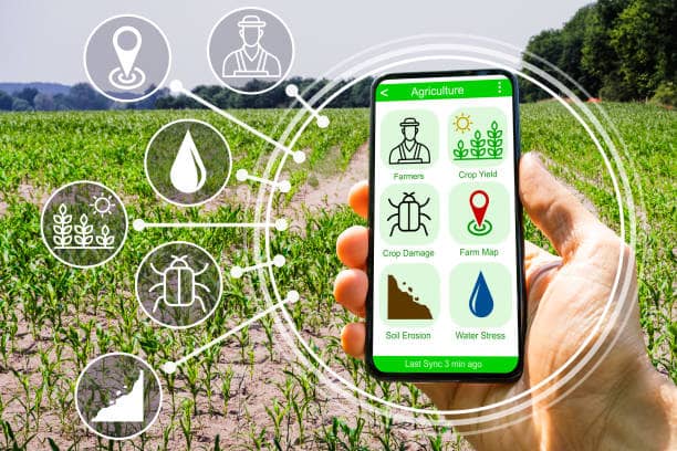 Agricultor utilizando tecnología en el campo